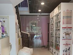 -哆趣宠物医院·眼科·内镜·急重症转诊中心(上海店)
