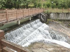 -广州白江湖森林公园