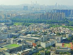 -广州奥园喜来登酒店