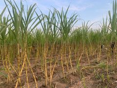 -汉长安城未央宫国家考古遗址公园