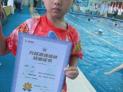 -鲨鱼游泳培训中心