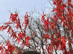 -魏家凉皮(博水商务大厦店)