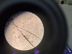 -艾贝尔宠物诊疗