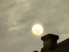 -鑫涛温泉汗蒸时代