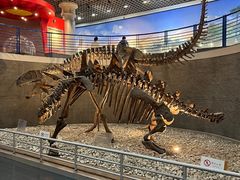 -国家自然博物馆