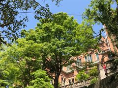 -上海佘山国家森林公园西佘山园