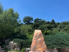 -北京西山国家森林公园