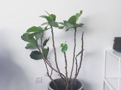 -UNI UNI(环亚凯瑟琳店)