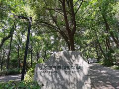 -北极阁公园