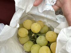 -马陆小张葡萄园农家乐