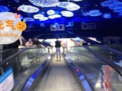 -盒马X会员店(上海森兰商都店)