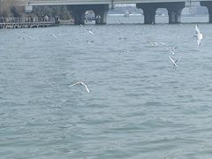-蠡湖大桥公园