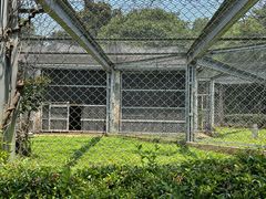 -合肥野生动物园