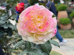 -人民公园(罗湖区)