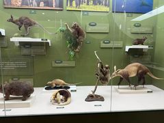 -国家自然博物馆