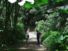 -旗山国家森林公园