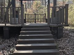 -句容茅山景区