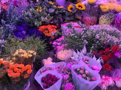 -花鸟鱼虫鲜花绿植市场(玉泉路店)