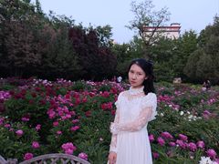 -迎泽公园