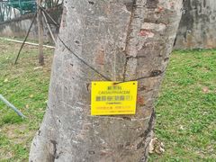 -纪念孙中山市政公园