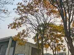 -东钱湖旅游度假区