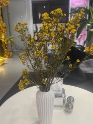 -春田皮肤管理中心品牌旗舰店