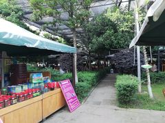 -乐氏荤豆花