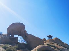 -天涯山