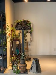 -周忆刺青原创设计定制