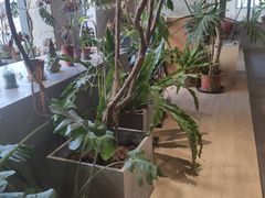 -山下C5cafe(惠通时代广场店)