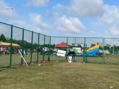 -春花秋色城市公园