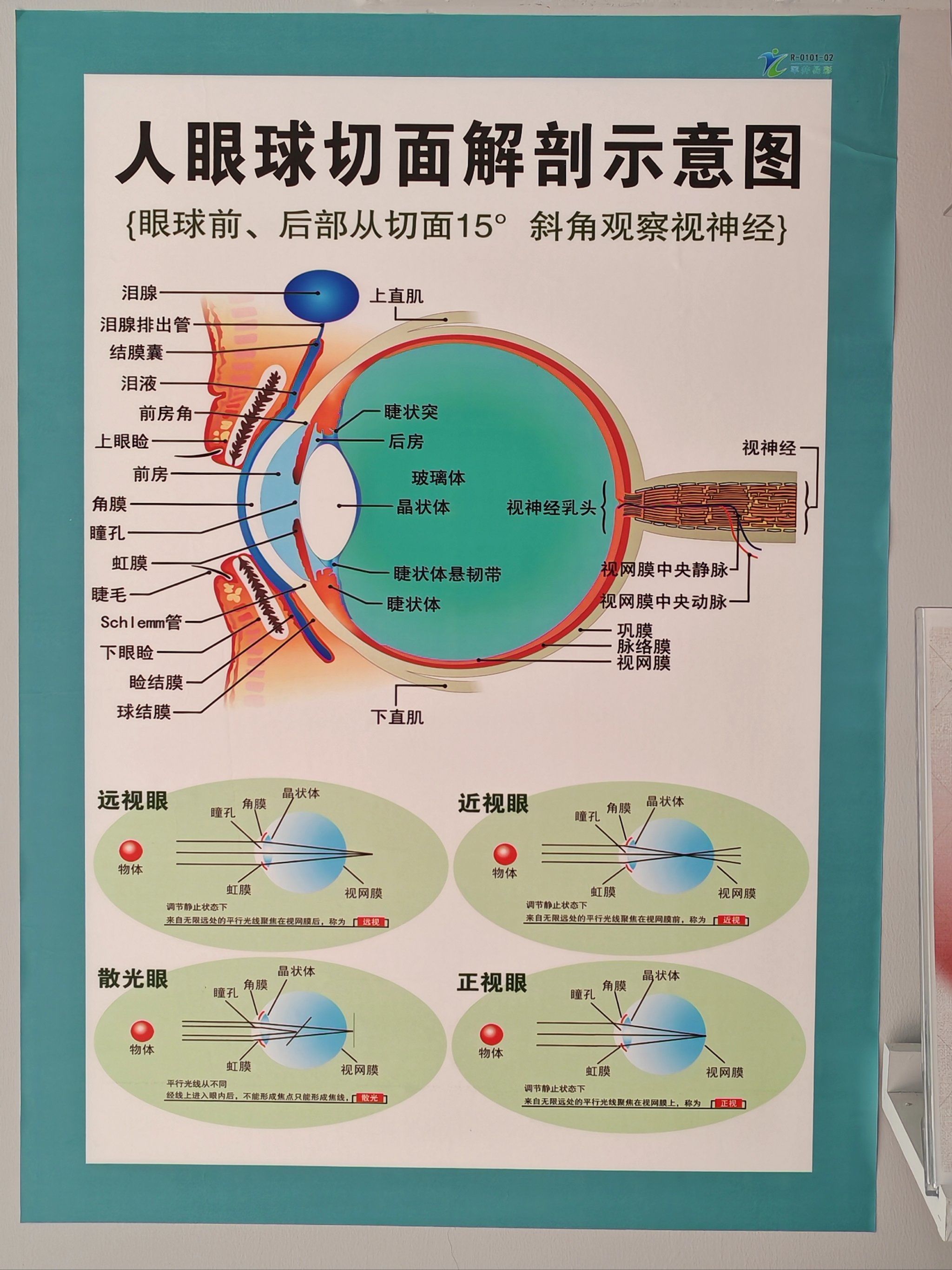 请你对你的眼睛👀好一些吧!