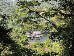 -水濂山森林公园