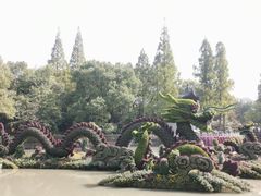 -汇龙潭