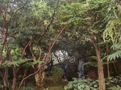 -Chom Cafe and Restaurant