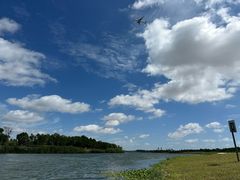 -春花秋色城市公园