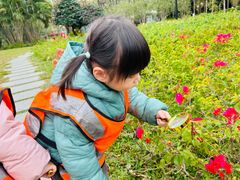 -金点蒙氏国际教育(悠然校区)