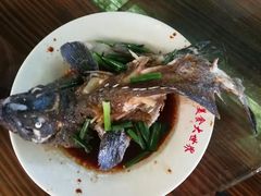 -三亚新鸿港水果一级批发市场