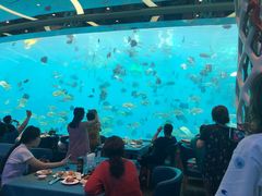 -瑞德姆美人鱼海底演艺主题餐厅(亚龙湾店)