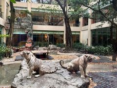 -白虎自助餐厅·真老虎·景观自助餐厅(广州长隆酒店)