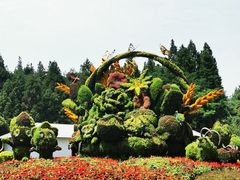 -东平国家森林公园