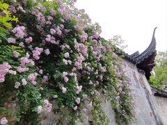 -惠山古镇·寄畅园