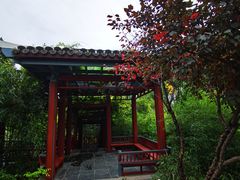 -北坞公园