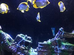 -成都浩海立方海洋公园