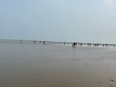 -刘家湾赶海园