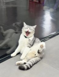 -我舞空间舞蹈培训