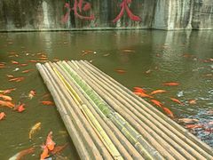 -千岛湖东南湖区
