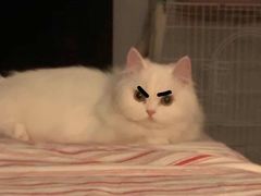 -菲尔雪CAKE(九方店)