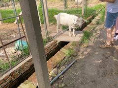 -美家乐农庄·露营·团建(大治路店)