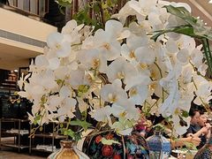 -南堂馆·新川菜(天府三街店)